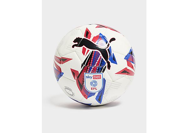 PUMA Orbita EFL 2024/25 Football