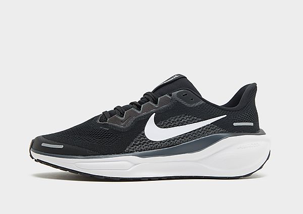 Nike Pegasus 41 Junior