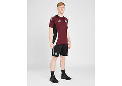 Adidas Newcastle United Fc Training Shorts Burgundy