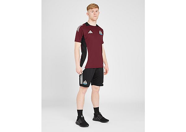 Adidas Newcastle United Fc Training Shorts Burgundy