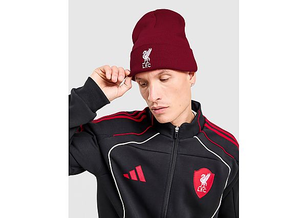 adidas Liverpool FC Beanie Hat