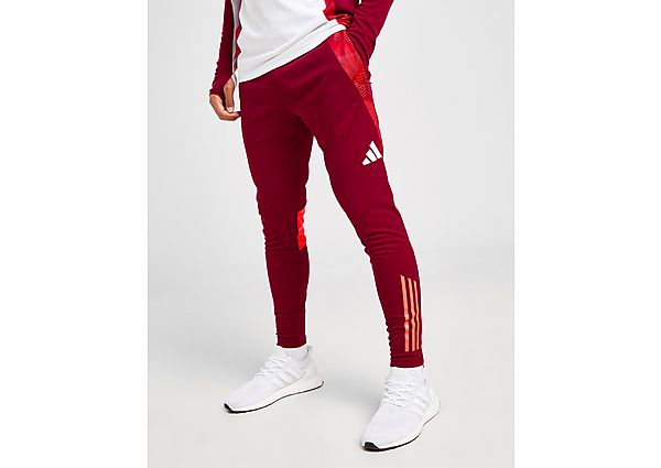 adidas AS Roma Training Track Pants Red