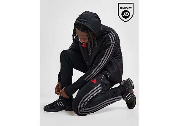 adidas Tiro 24 Training Track Pants Grey