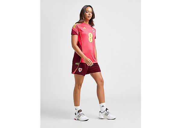 adidas Wales WEC Tiro 25 Training Shorts