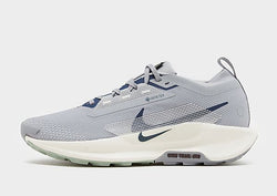 Nike Pegasus Trail 5 GORE Grey