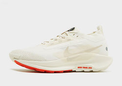 Nike Pegasus Trail 5 Gore-Tex White