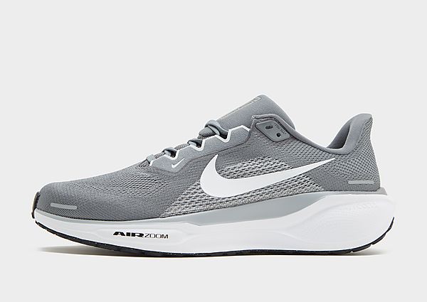 Nike Pegasus 41 Grey