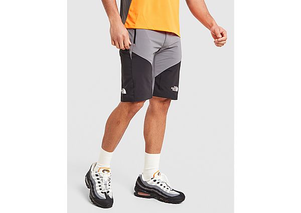 The North Face Felik Shorts