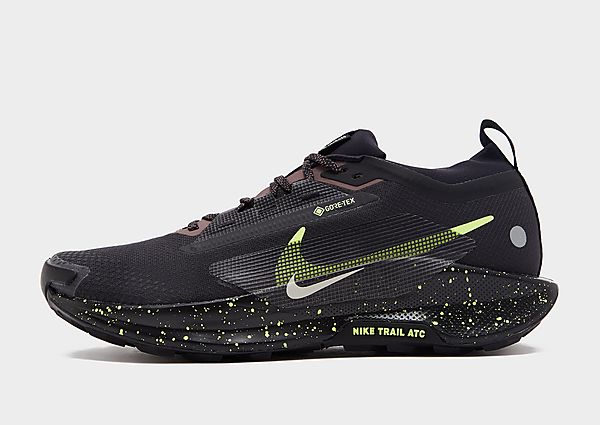 Nike Pegasus Trail 5 GORE-TEX Trail Running Shoes