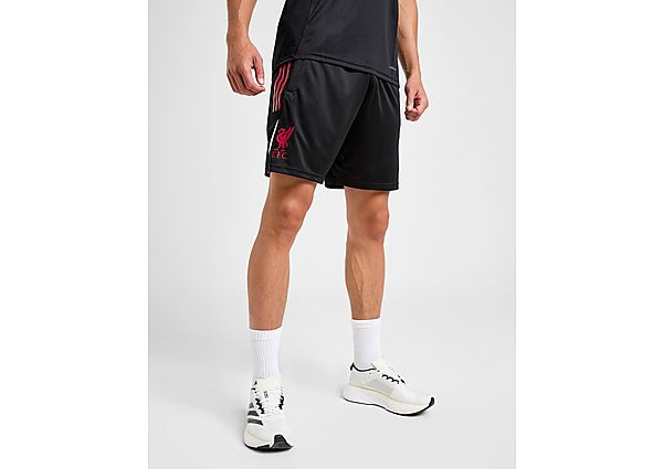 adidas Liverpool FC Tiro 25 Training Shorts