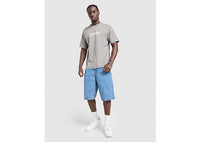 LEVI'S Skate Wish T-Shirt grey