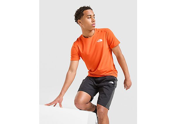The North Face Alpine T-Shirt
