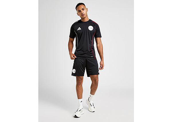 adidas Ajax Training Shorts