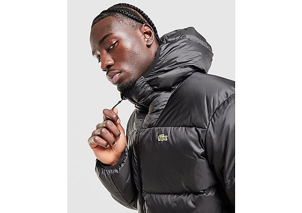 Lacoste Back Crocodile Padded Jacket