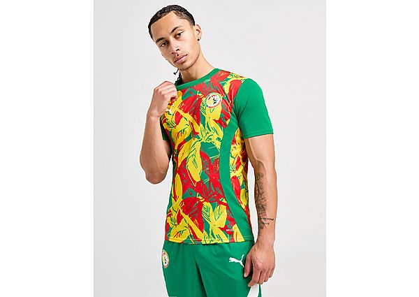 Puma Senegal Pre Match Shirt Green