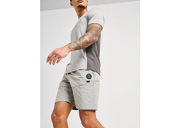 Zavetti Canada Irosso Cargo Shorts Grey