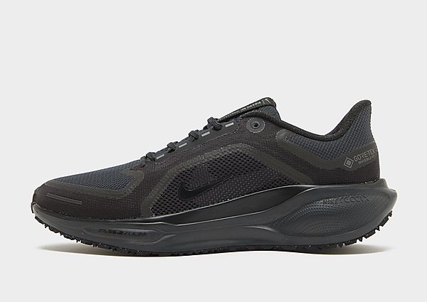 Nike Pegasus 41 GORE-TEX Black