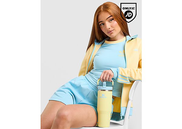 Stanley IceFlow Flip Straw 2.0 0.89L Tumbler