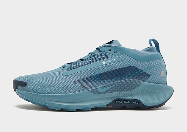 Nike Pegasus Trail 5 Gore-Tex Blue