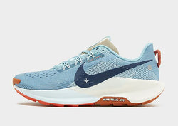 Nike Pegasus Trail 5 Blue