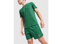 Nike Slam Shorts green