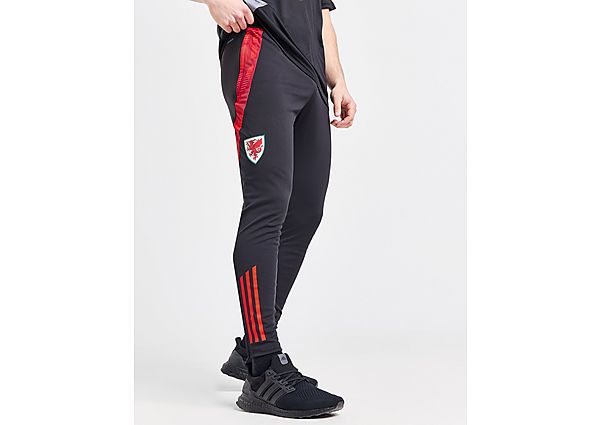 adidas Wales Tiro 24 Training Track Pants Black / App Solar Red