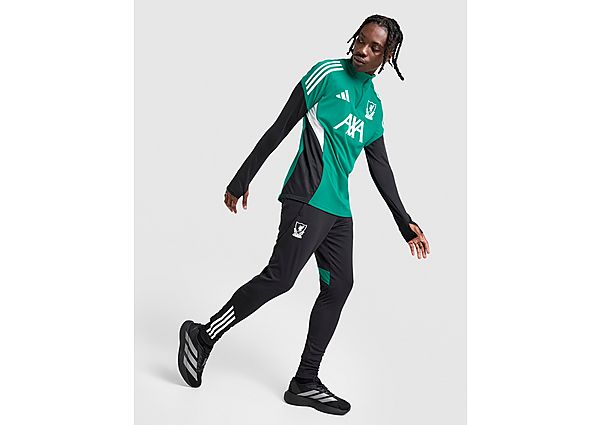 adidas Liverpool FC Training Track Pants