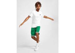 Nike NBA Boston Celtics Swingman Shorts green