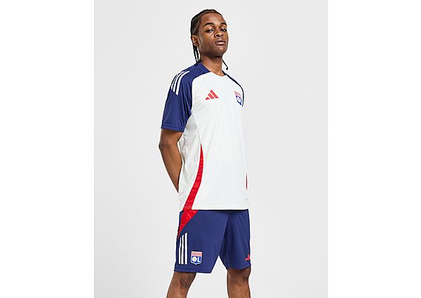 adidas Olympique Lyon Training Shorts Blue