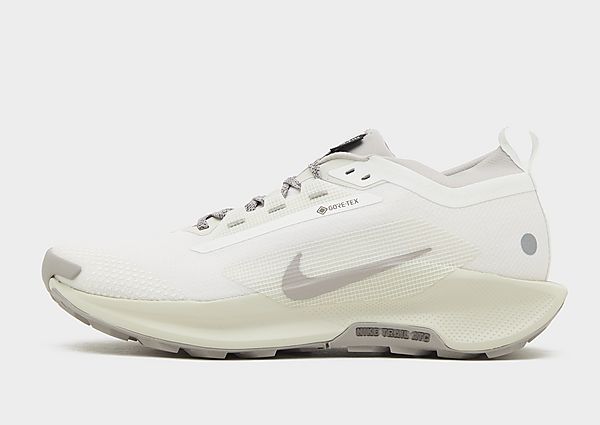 Nike Pegasus Trail 5 GORE-TEX