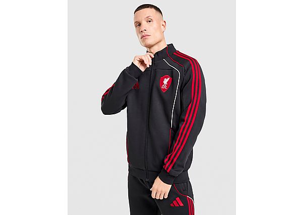 adidas Liverpool FC Urban Purist Track Top