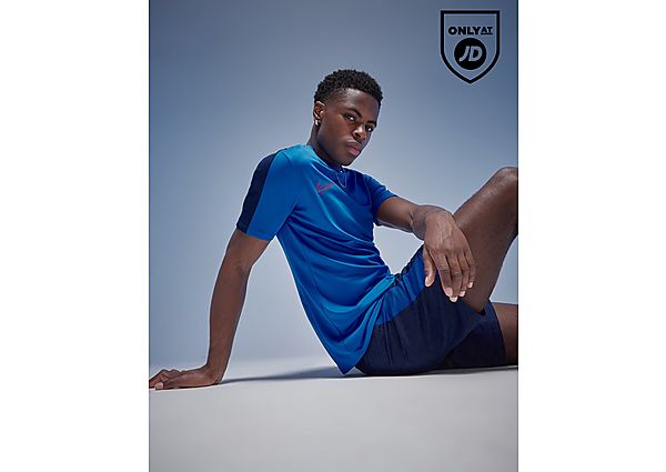 Nike Academy T Shirt  Blue